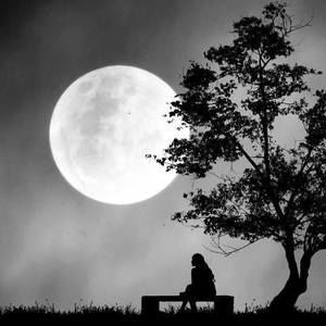 Meet your Posher, Gabby